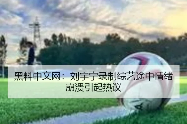 黑料中文网：刘宇宁录制综艺途中情绪崩溃引起热议